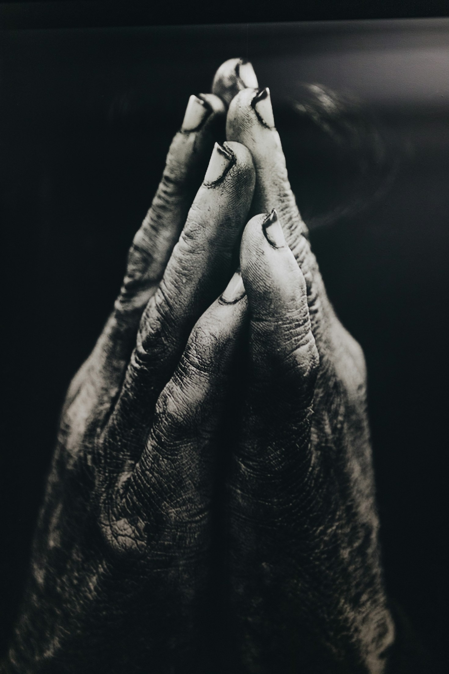 The Power of Warfare Declarations in Hard Times
